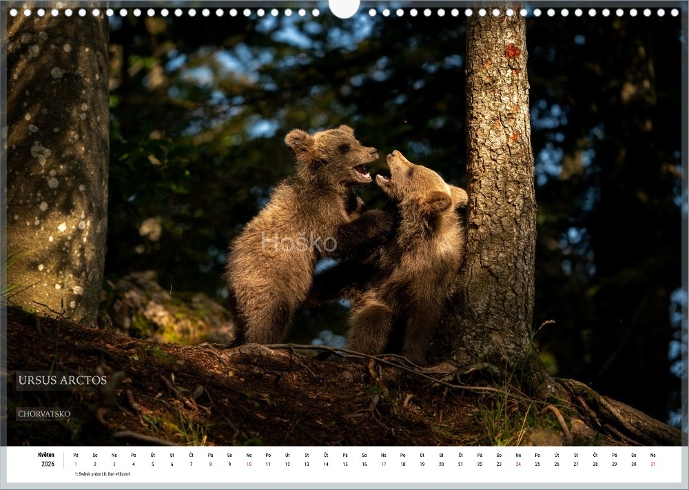 Bez-nazvu_002 Bez-nazvu_002