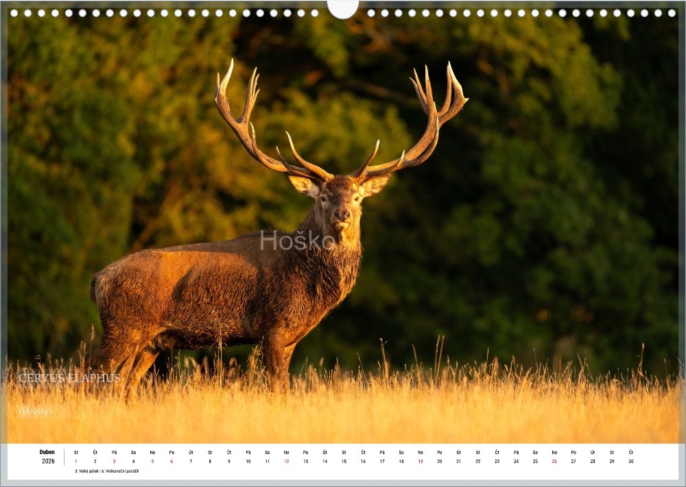 Bez-nazvu_003 Bez-nazvu_003