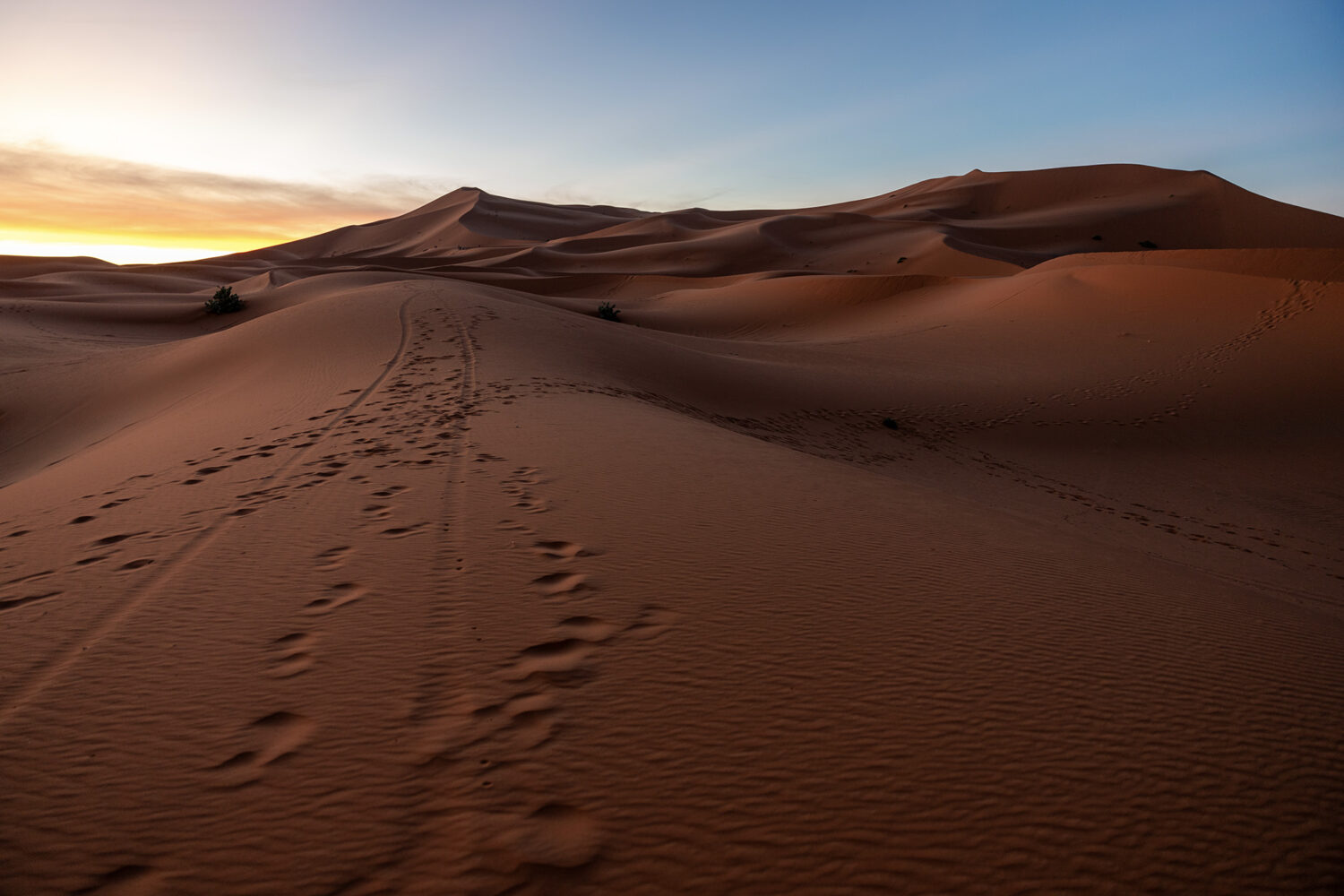 Stopy a vyjeté koleje v písku vedoucí k monumentálním písečným dunám Erg Chebbi v Merzouze v Maroku během východu slunce, krajinářská fotografie