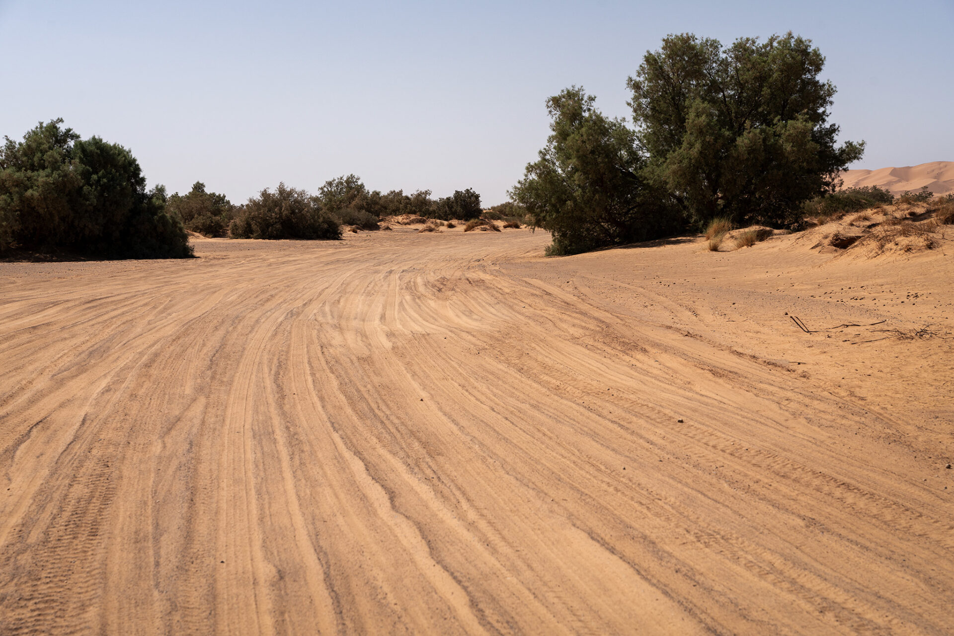 Široká písečná pista a vyjeté koleje na bývalé trase Rallye Paříž Dakar v poušti u Merzougy v Maroku, expediční cestování